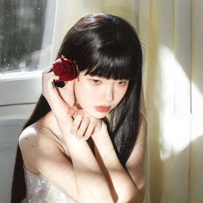 齐姆与友